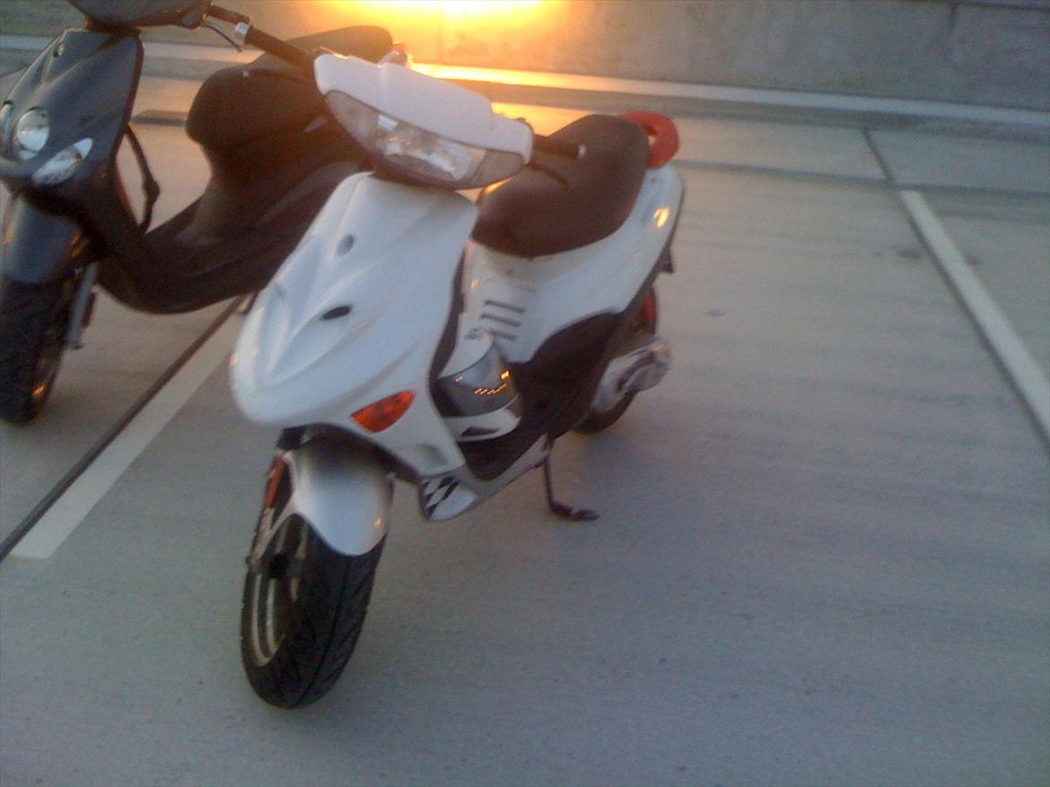 Adly Baboon billede 1