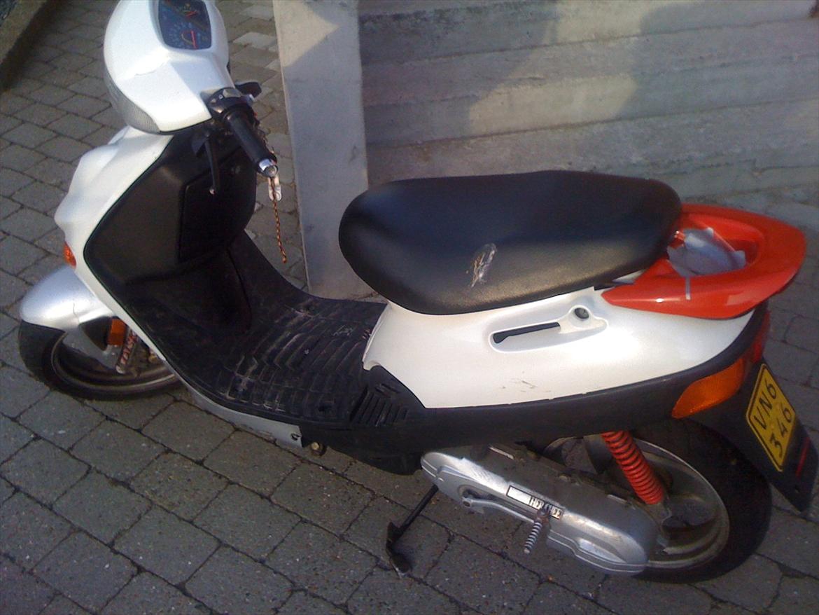 Adly Baboon billede 2