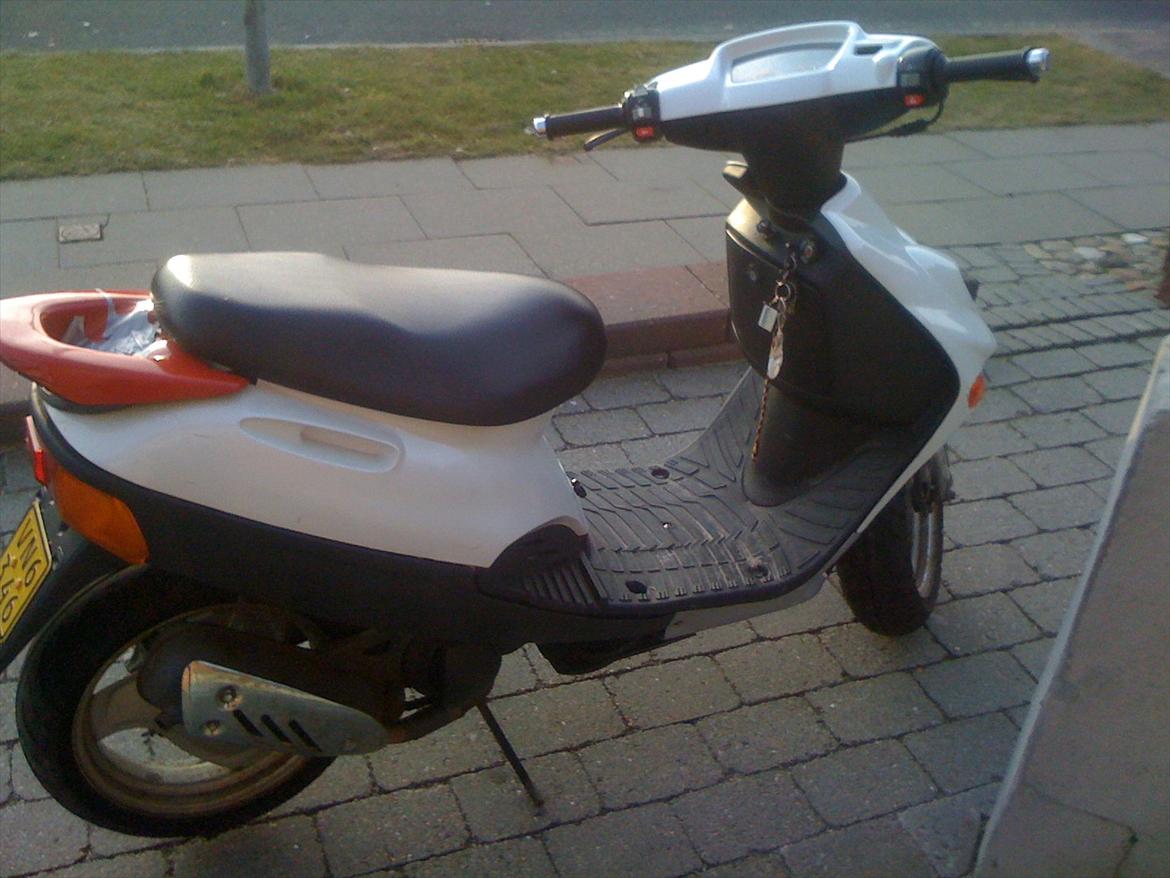 Adly Baboon billede 3