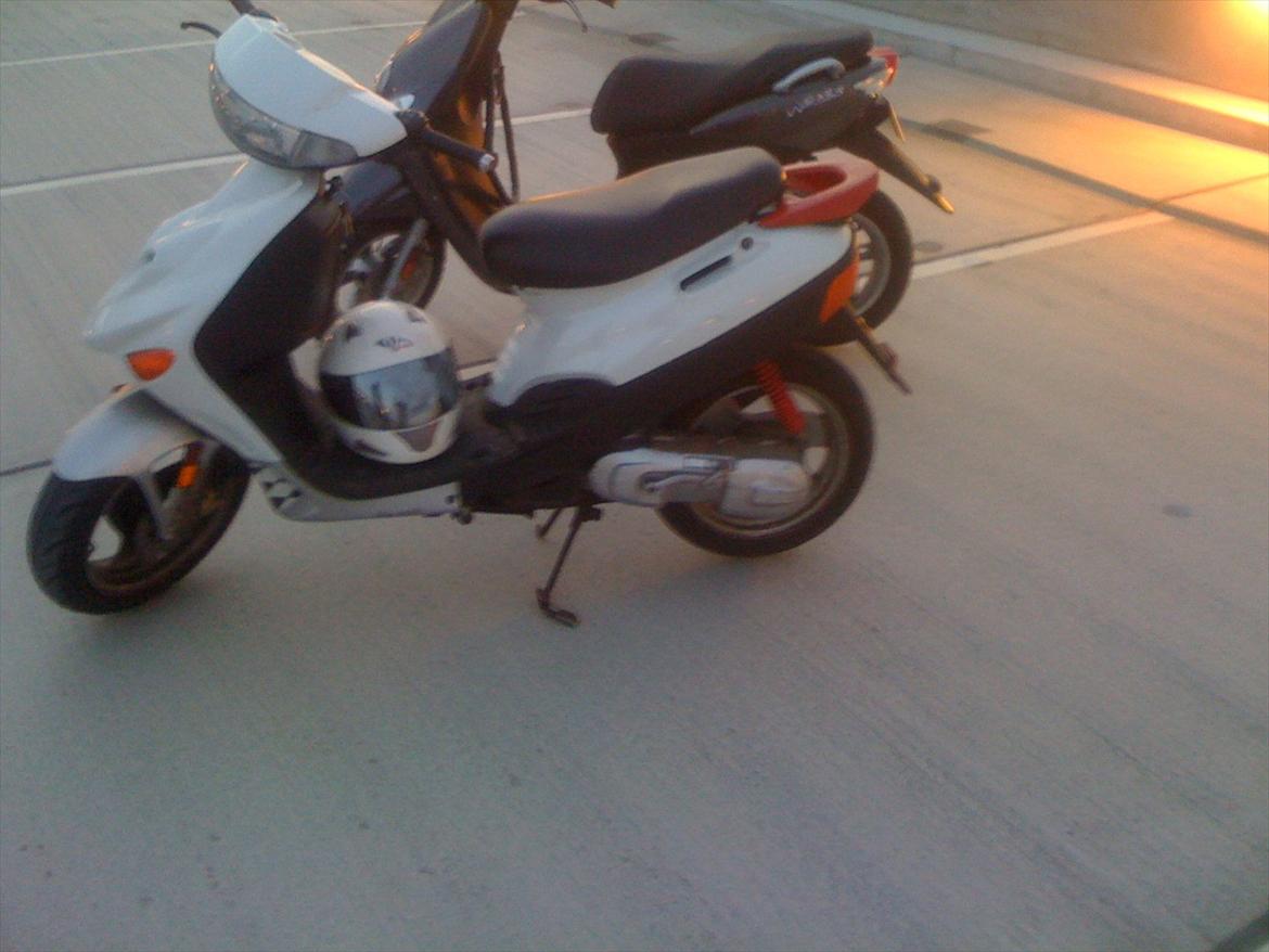 Adly Baboon billede 4