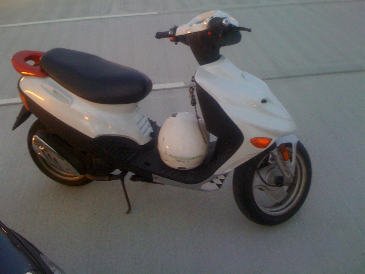 Adly Baboon billede 5