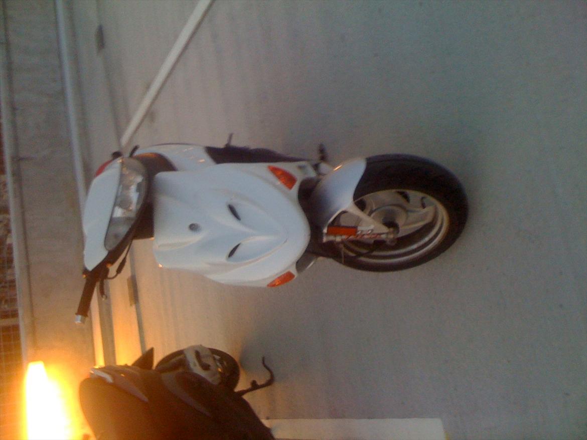 Adly Baboon billede 7