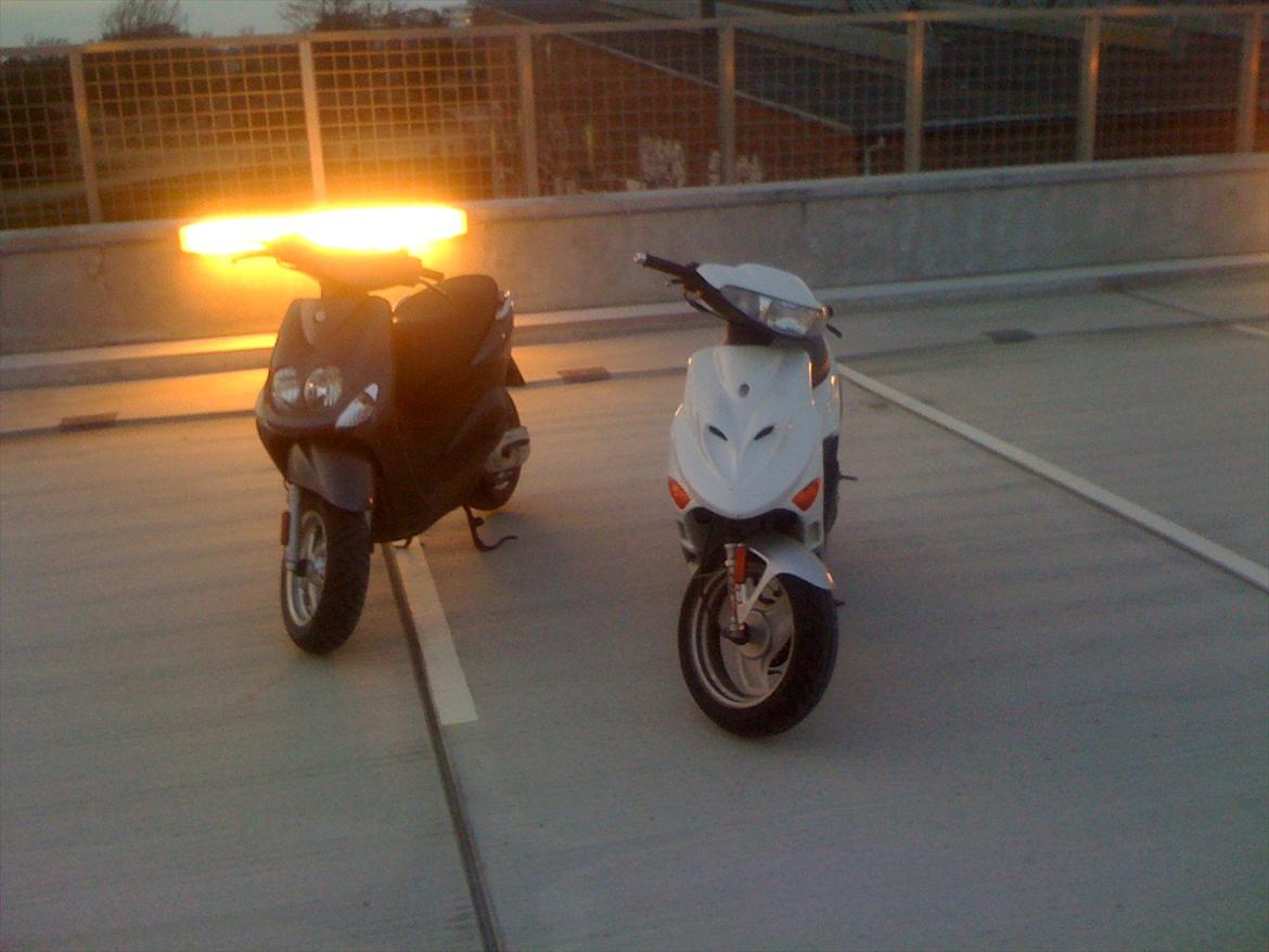 Adly Baboon billede 8