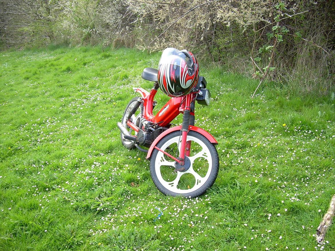 Tomos Quadro - som den ser ud nu billede 1