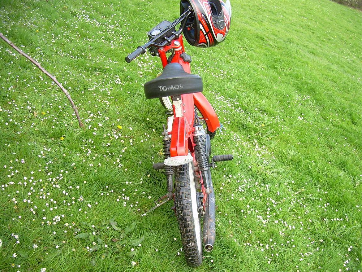 Tomos Quadro billede 4