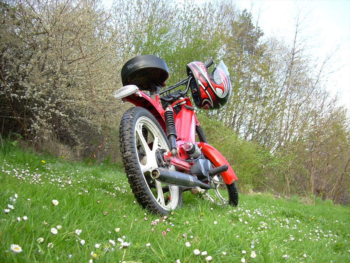 Tomos Quadro billede 5