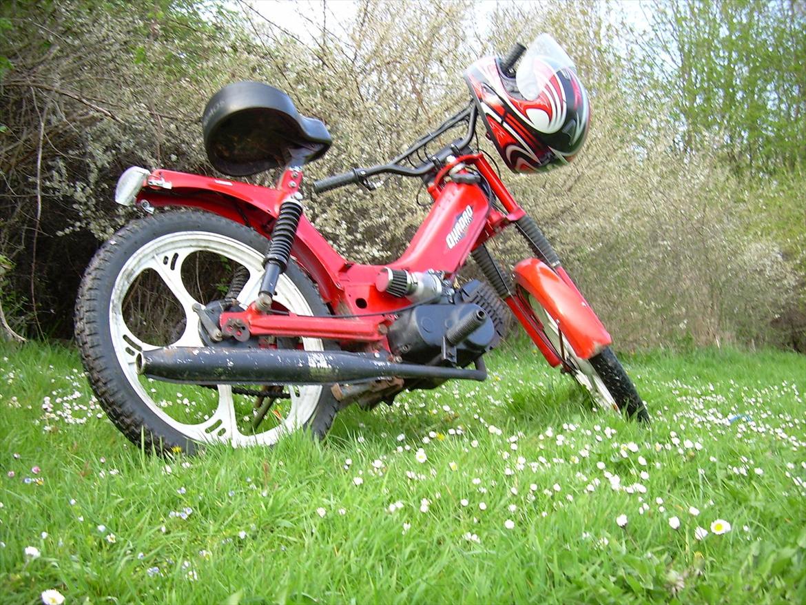 Tomos Quadro billede 6