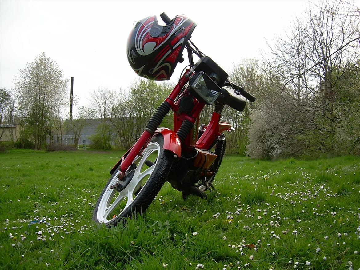 Tomos Quadro billede 7