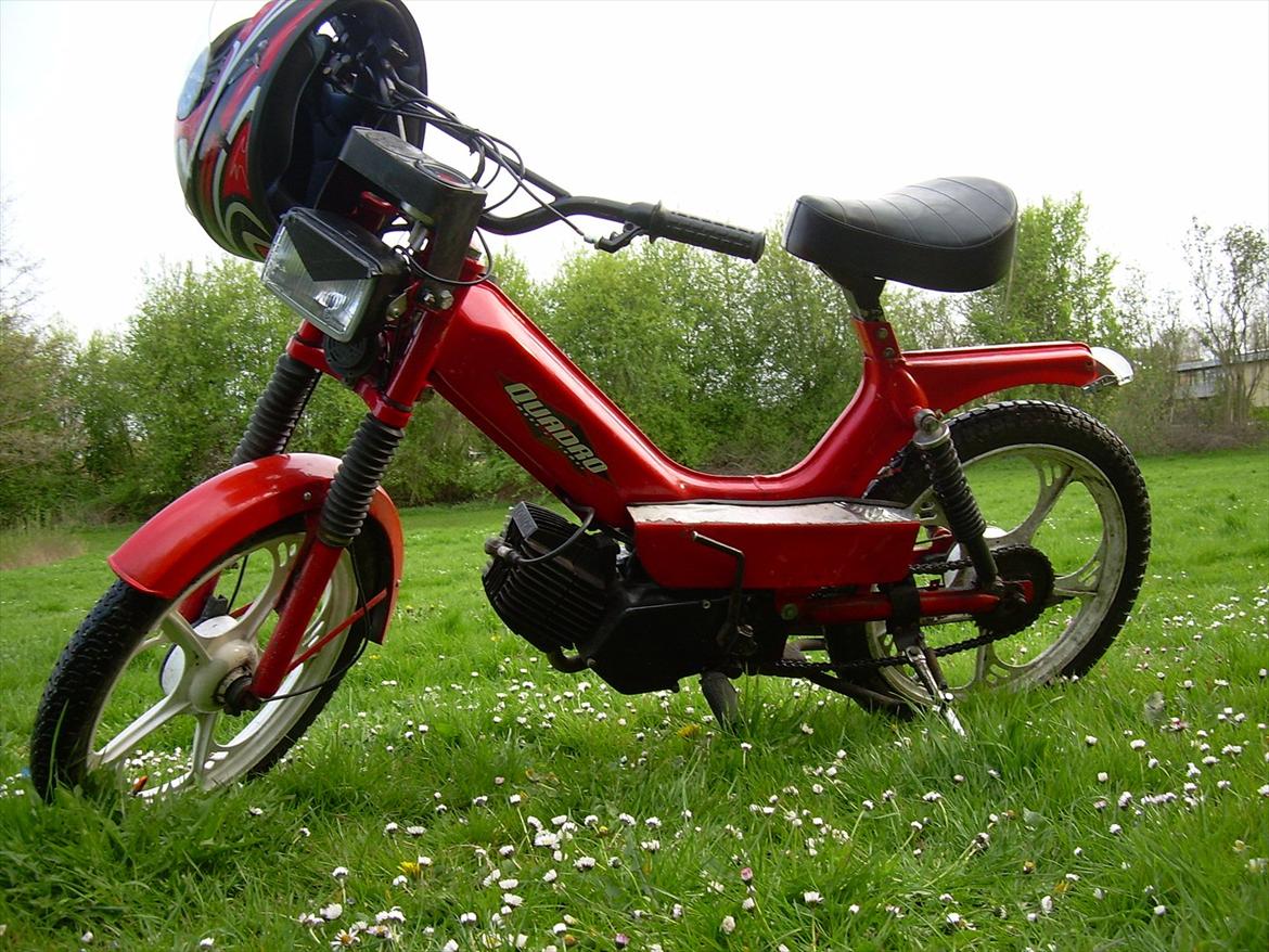 Tomos Quadro billede 8
