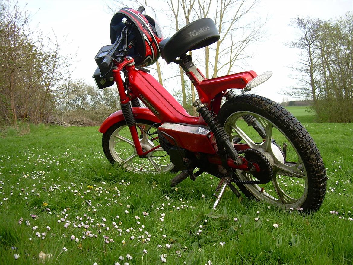 Tomos Quadro billede 9