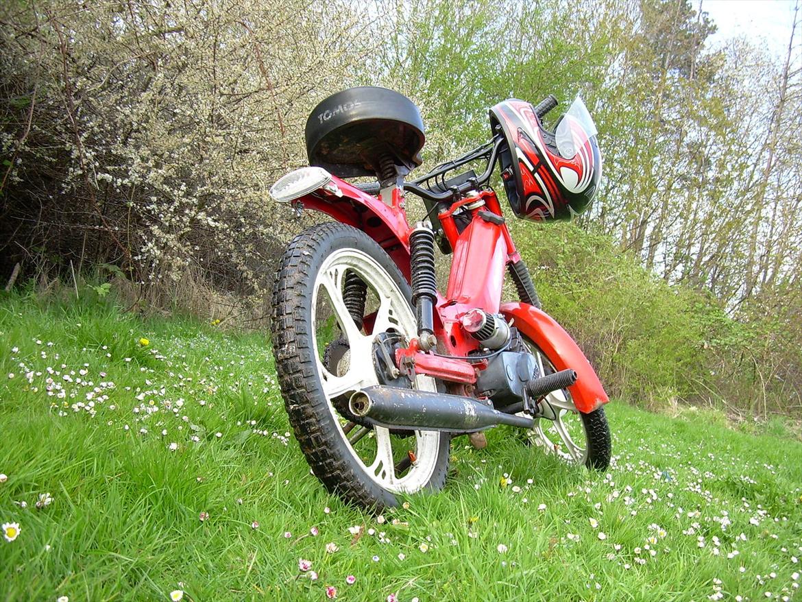 Tomos Quadro billede 10