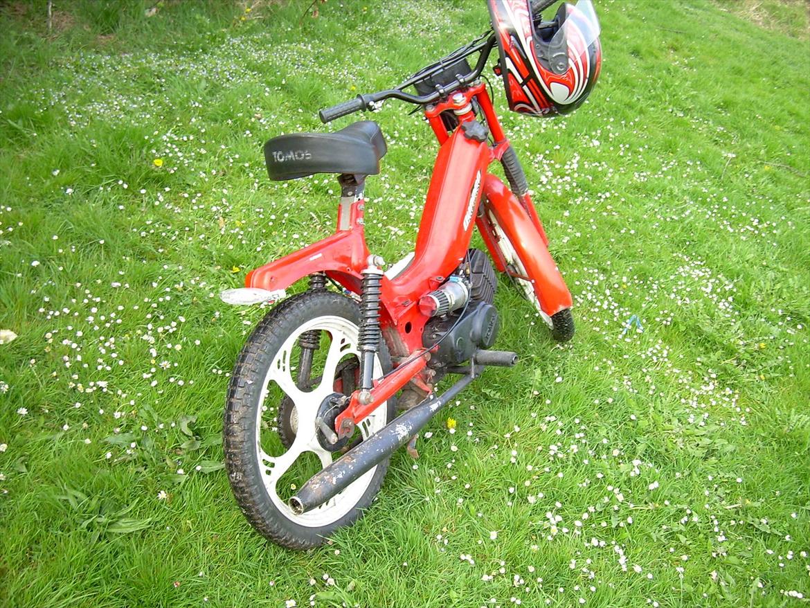 Tomos Quadro billede 11