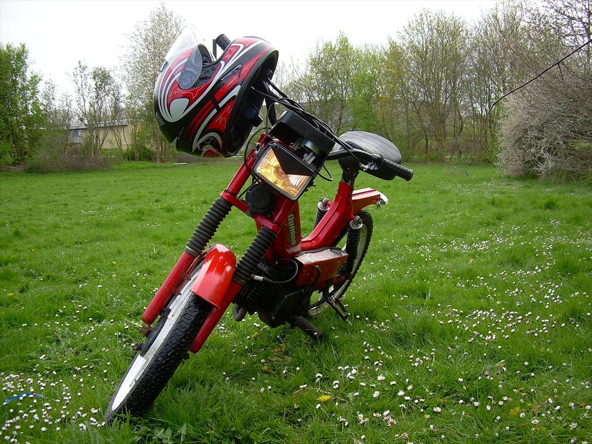 Tomos Quadro billede 14