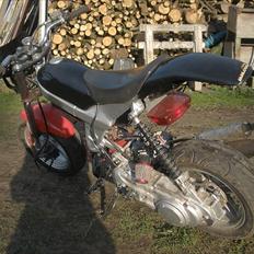 Suzuki street magic! og street-rox