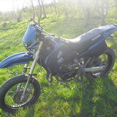 Suzuki Smx