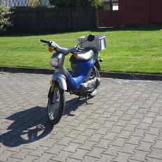 Honda wallaroo