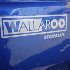 Honda wallaroo