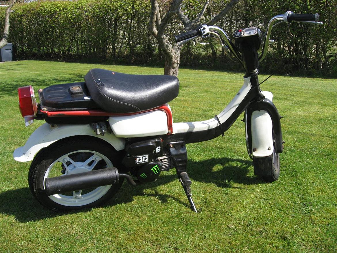 Suzuki fz50 billede 7