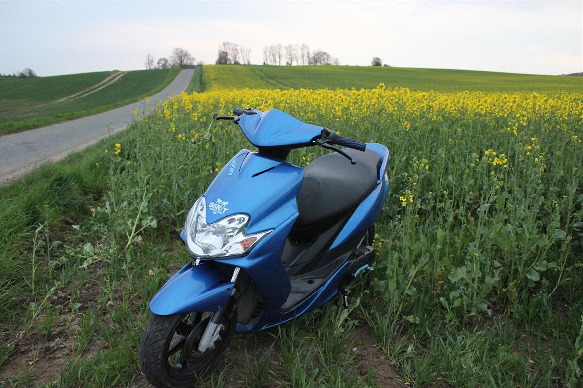 Yamaha Jog R billede 12