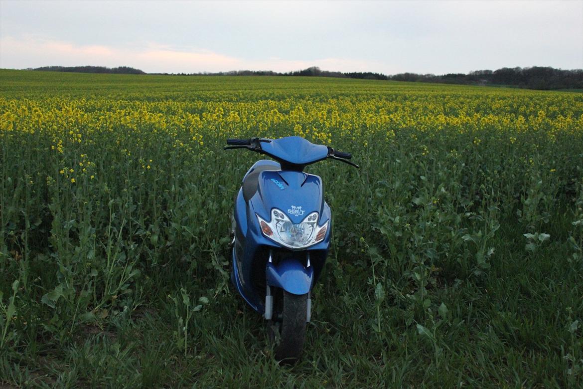 Yamaha Jog R billede 16