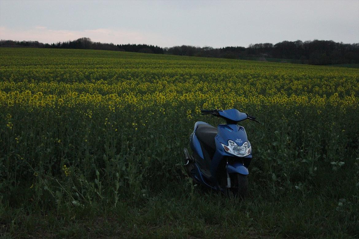 Yamaha Jog R billede 17