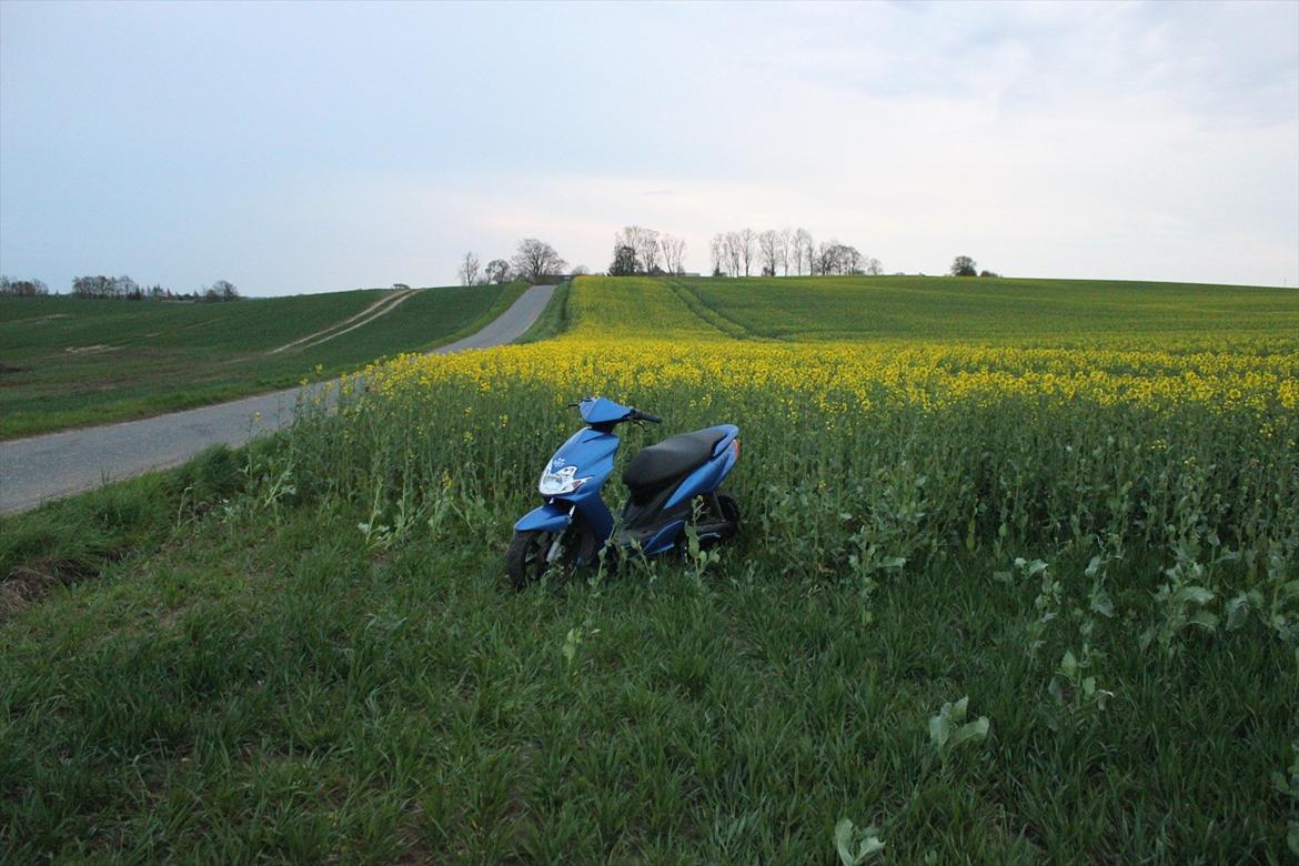 Yamaha Jog R billede 18