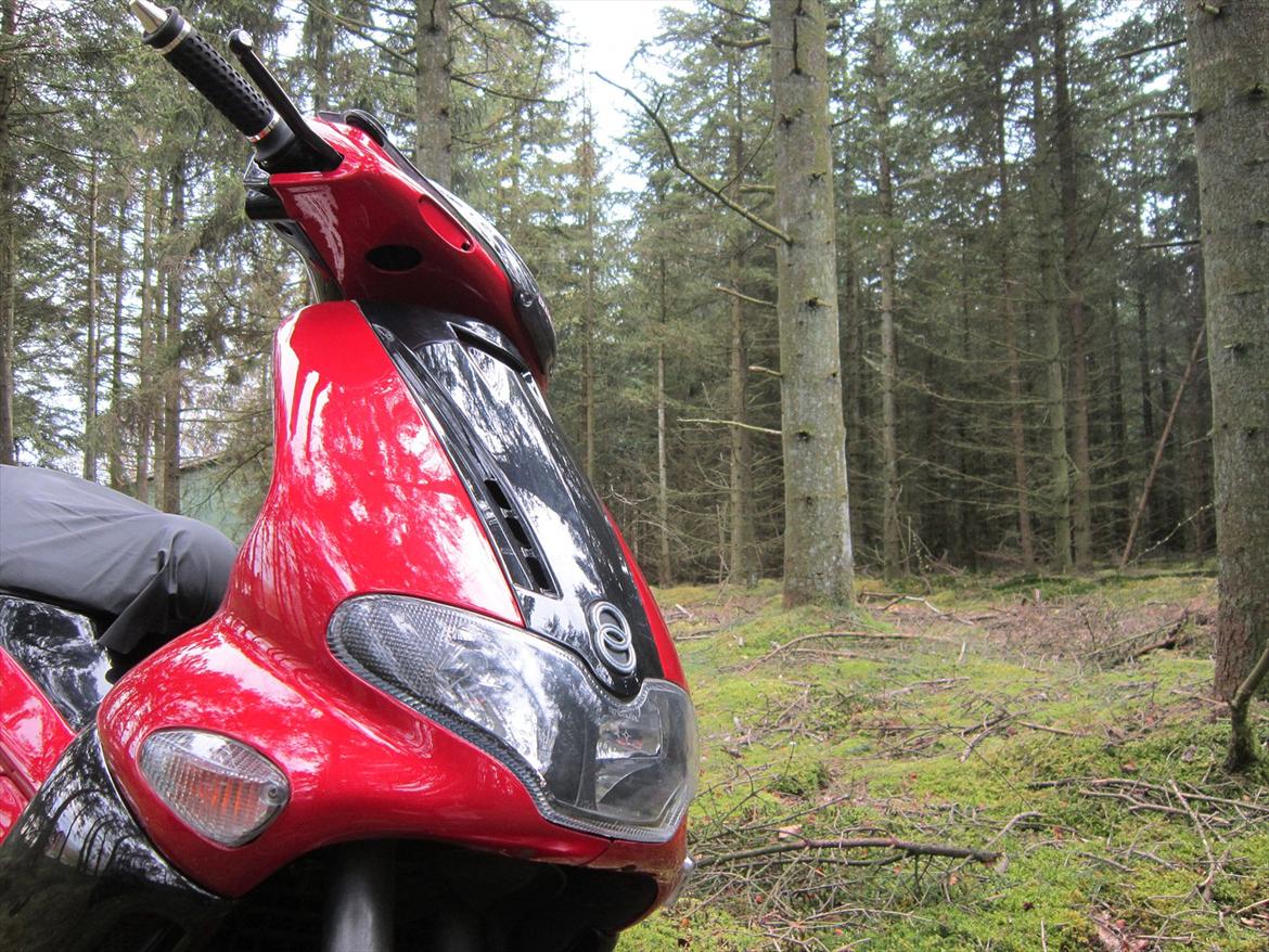 Gilera runner billede 4