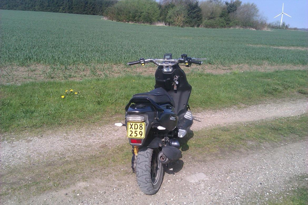 PGO Pmx Naked  billede 4