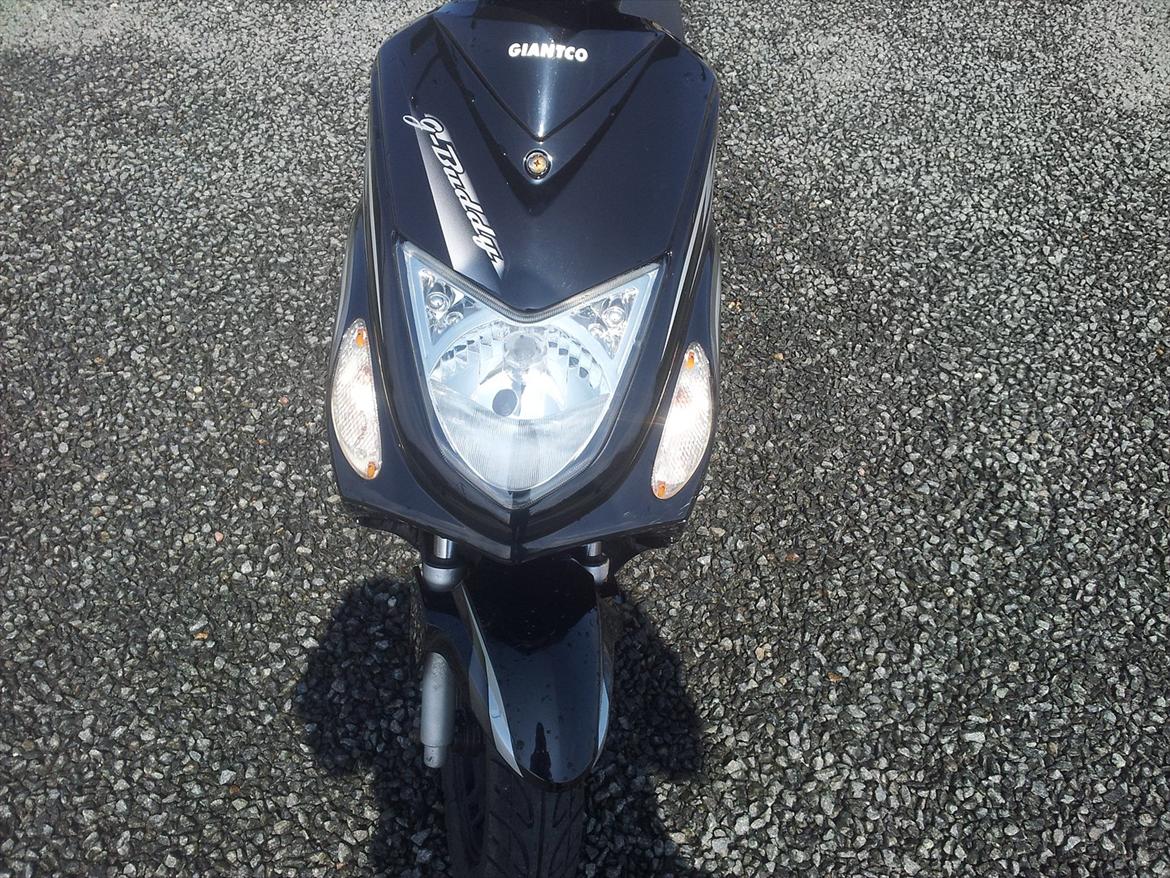 Giantco G-Buddy  billede 5