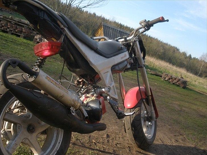 Suzuki street magic! og street-rox - MUMS :D  billede 4