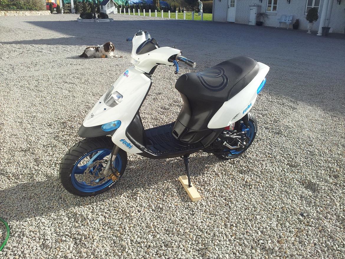 Gilera stalker - (EVO 1 AC) billede 12