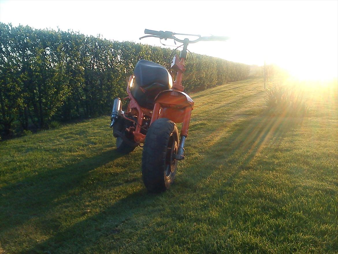 Aprilia RALLY EVO efter billede 1