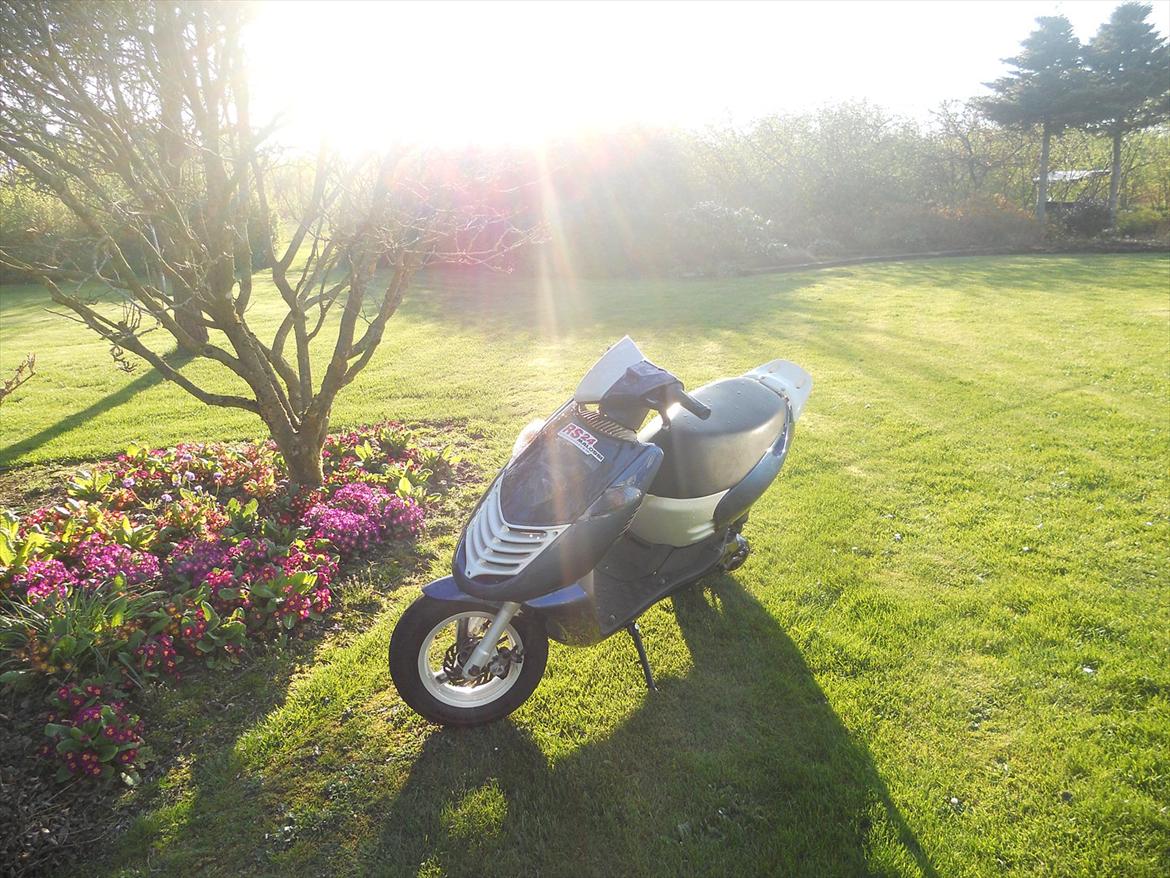 Aprilia sonic billede 3