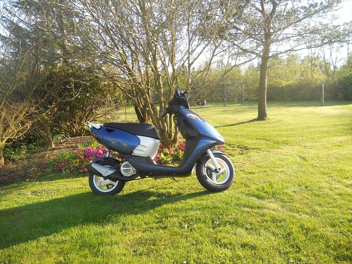 Aprilia sonic billede 5