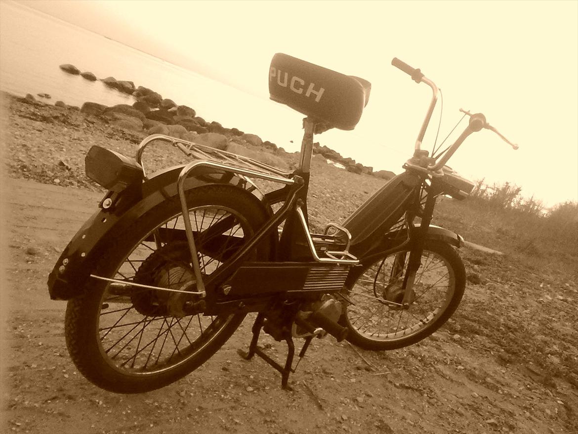 Puch Maxi k billede 8