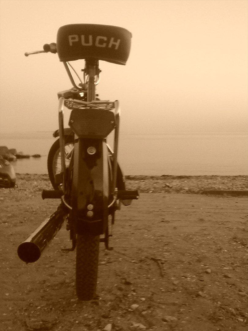 Puch Maxi k billede 9