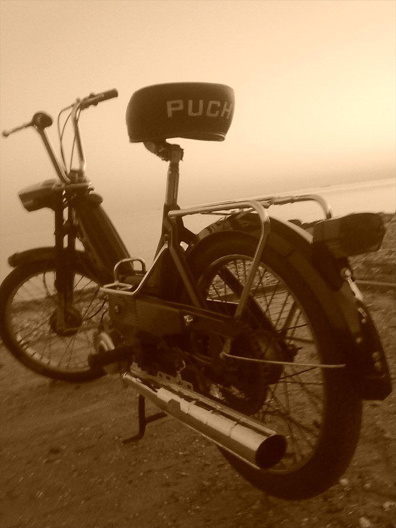 Puch Maxi k billede 10