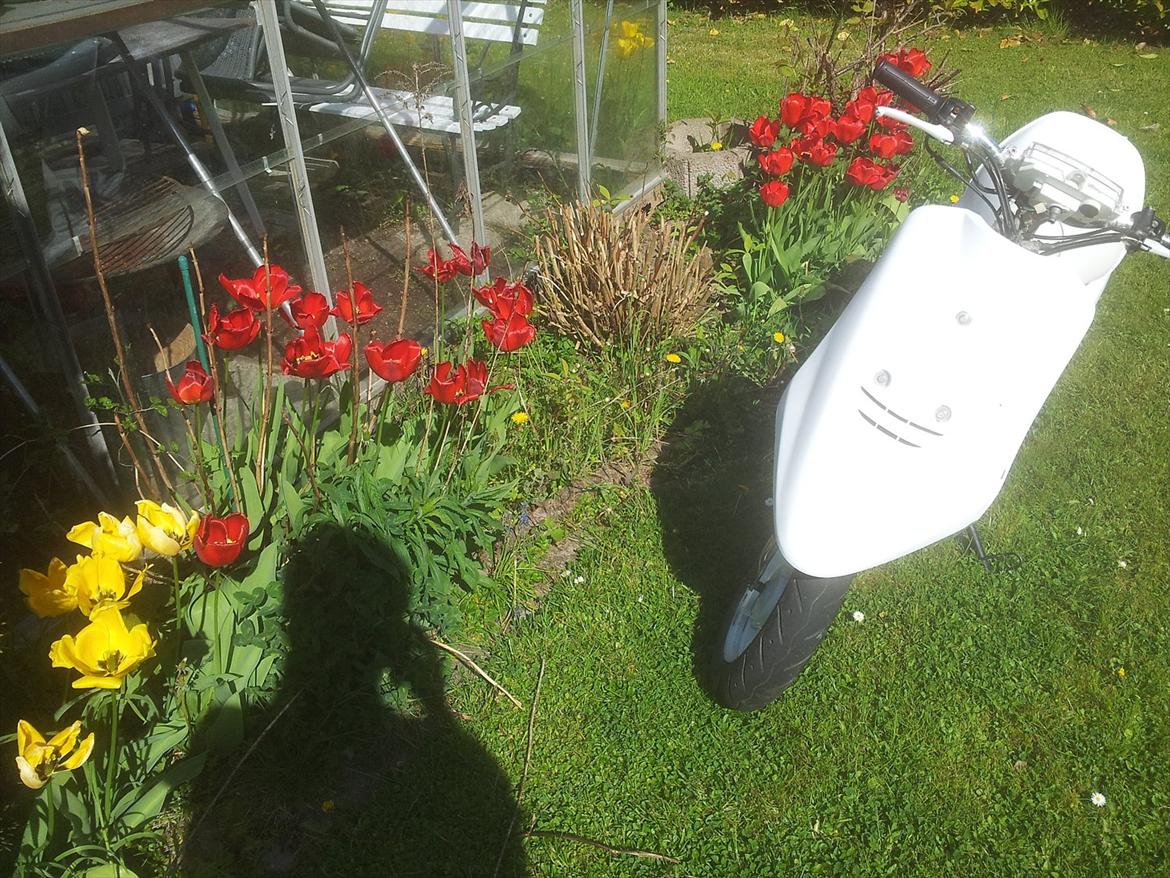 Yamaha Jog Fs (EFTER) billede 17