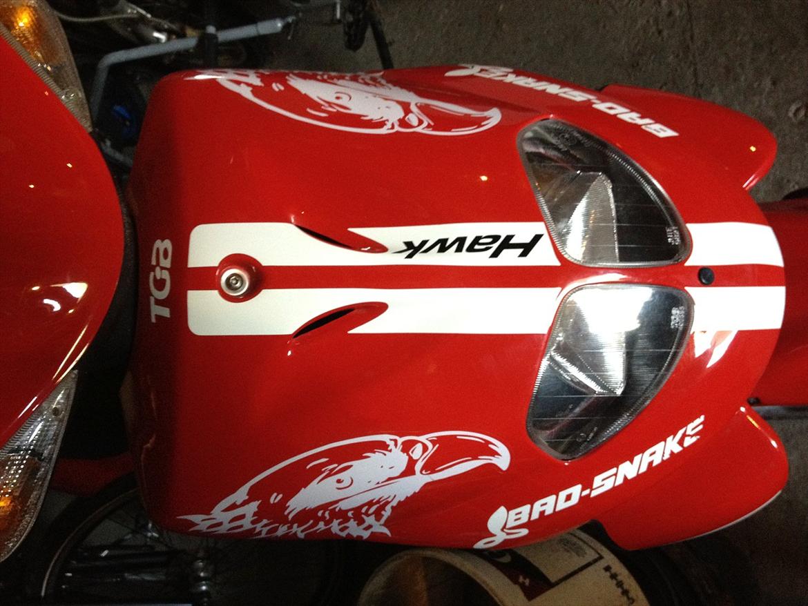 TGB HAWK RACING billede 5