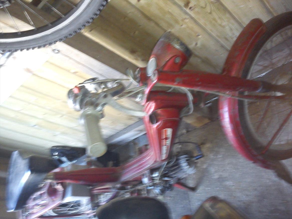 Veteraner bonnie billede 2