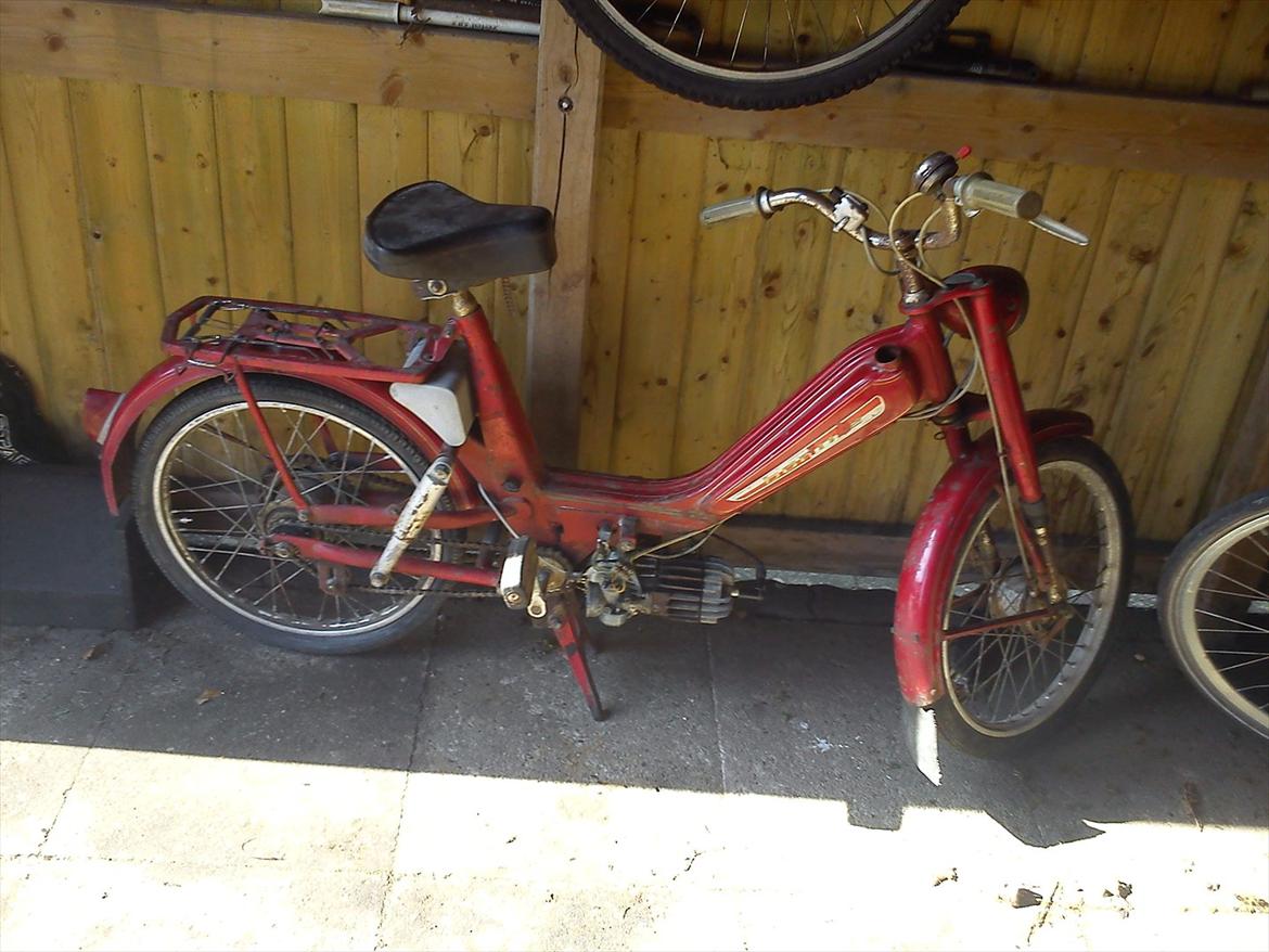 Veteraner bonnie billede 1