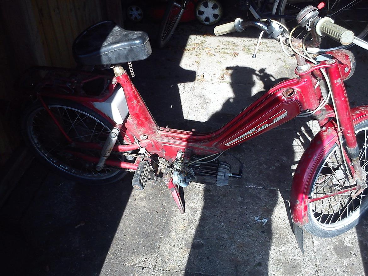 Veteraner bonnie billede 3