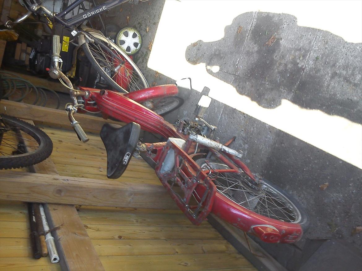 Veteraner bonnie billede 4