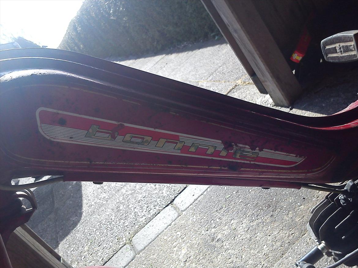 Veteraner bonnie billede 5