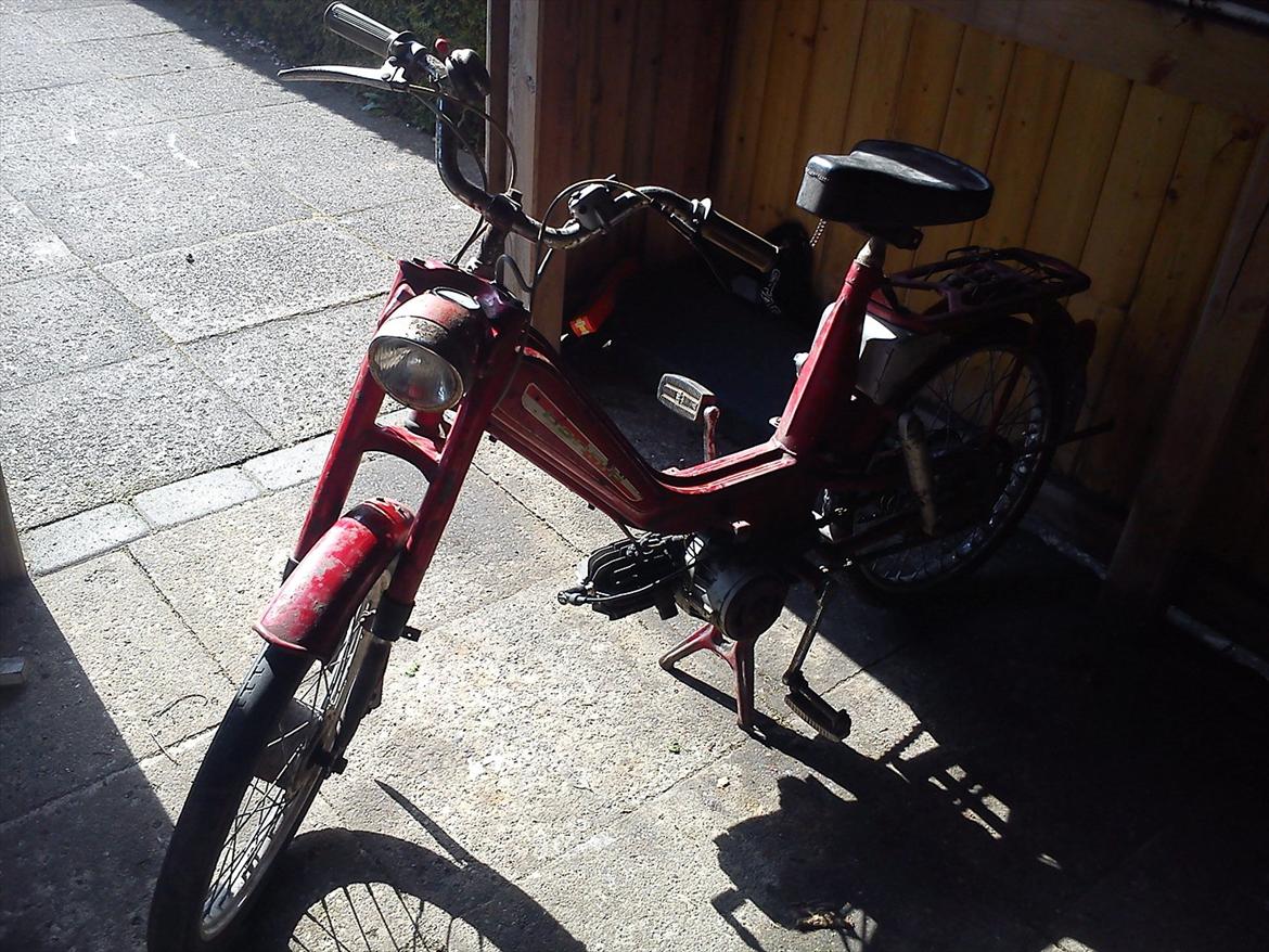 Veteraner bonnie billede 6