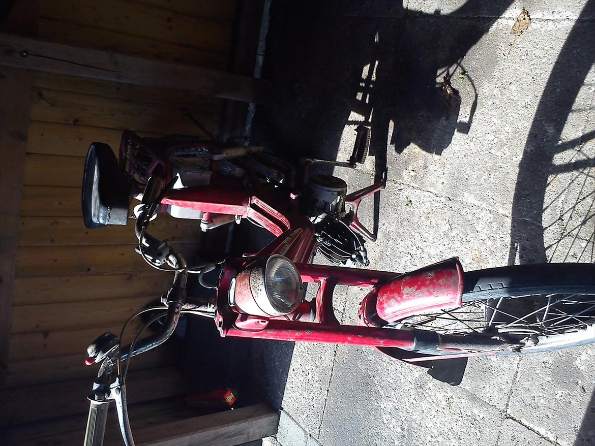 Veteraner bonnie billede 7