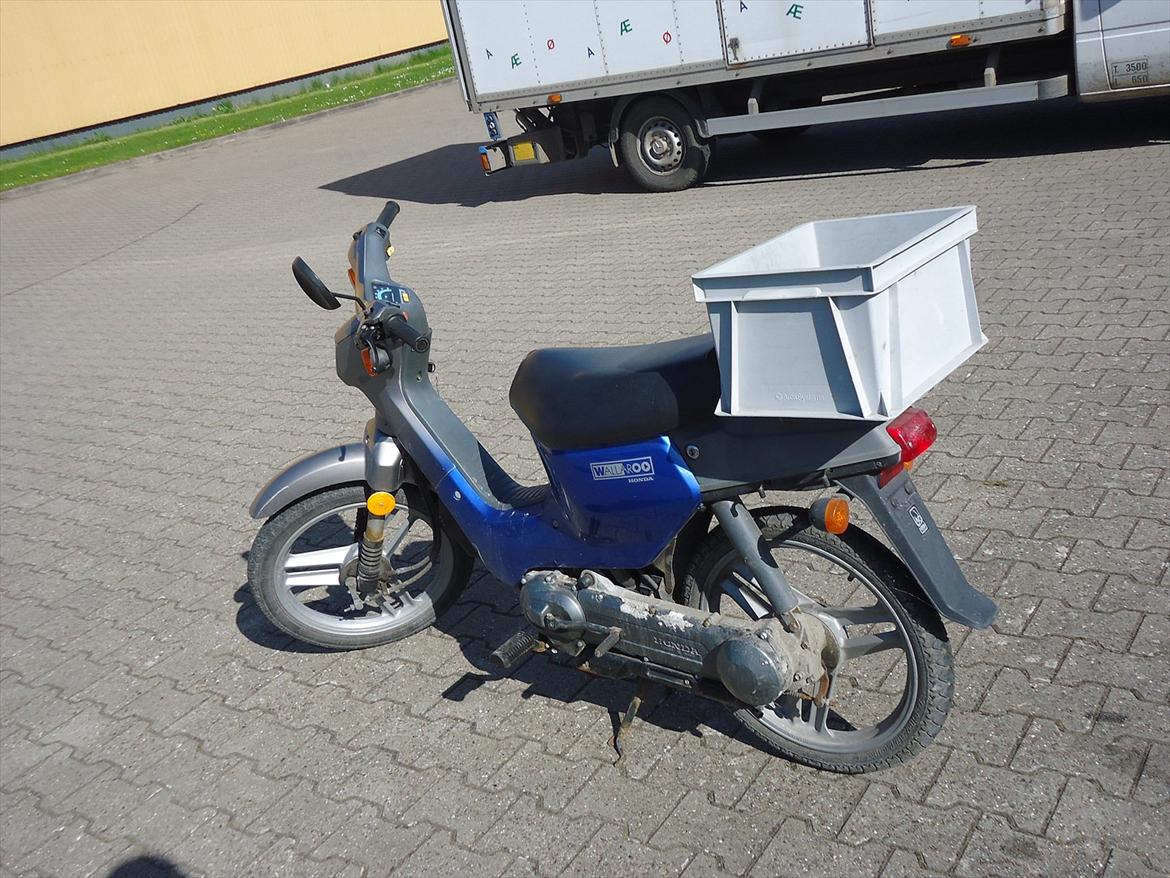 Honda wallaroo billede 4