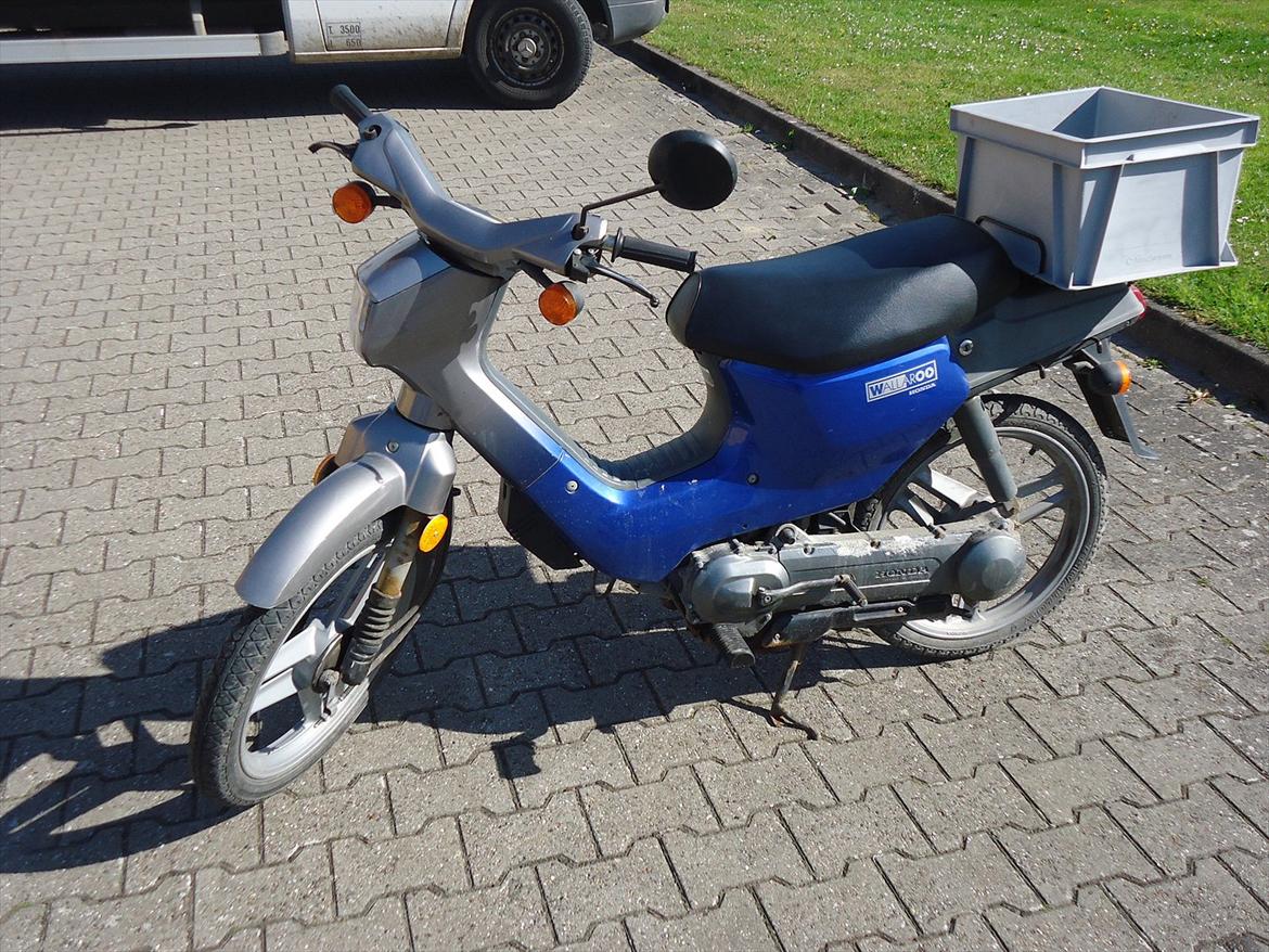 Honda wallaroo billede 5