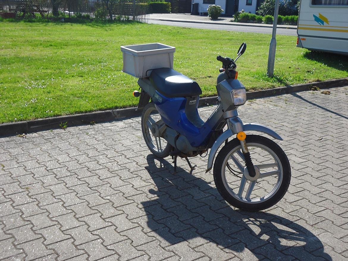 Honda wallaroo billede 6