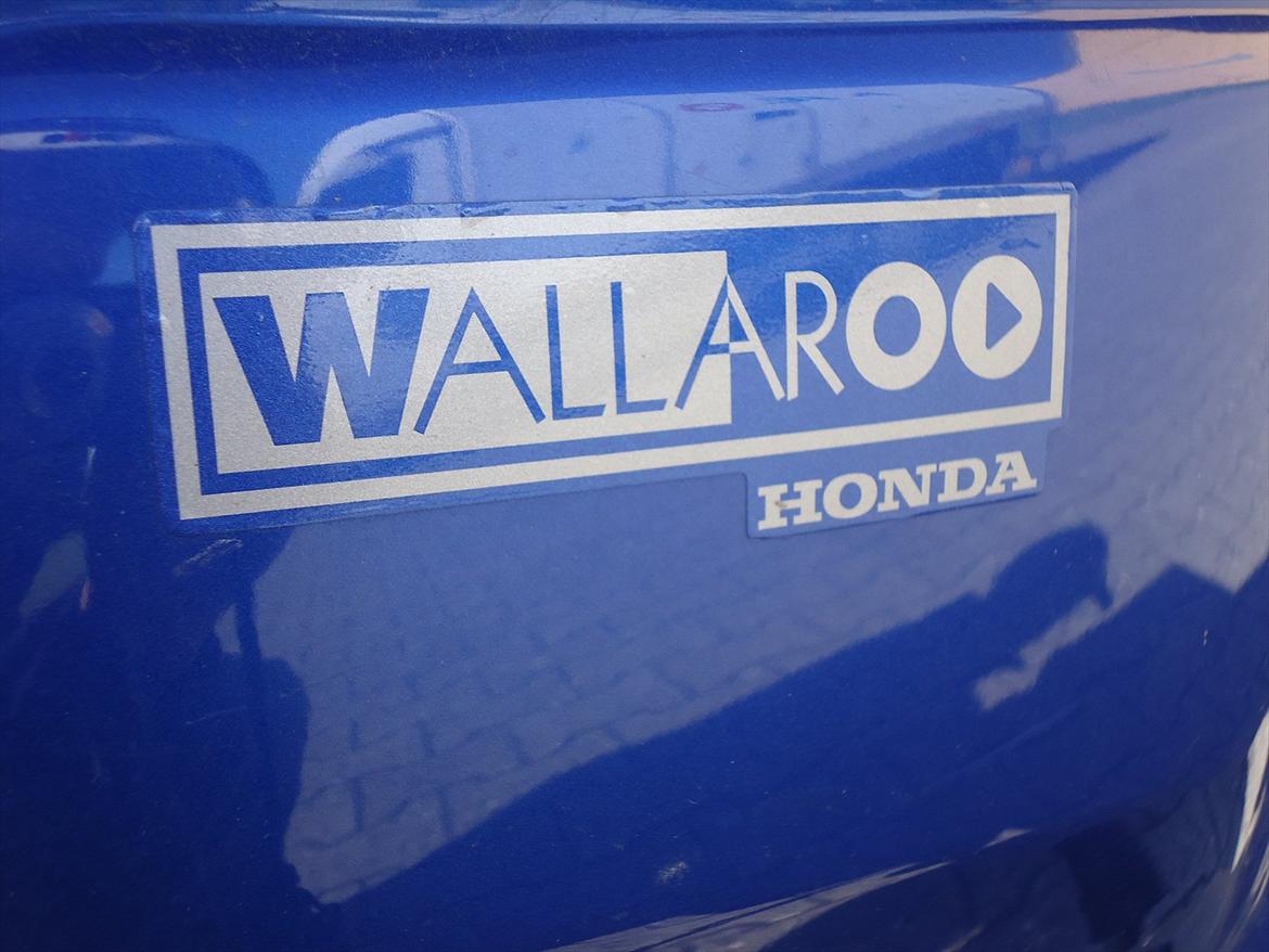 Honda wallaroo billede 7